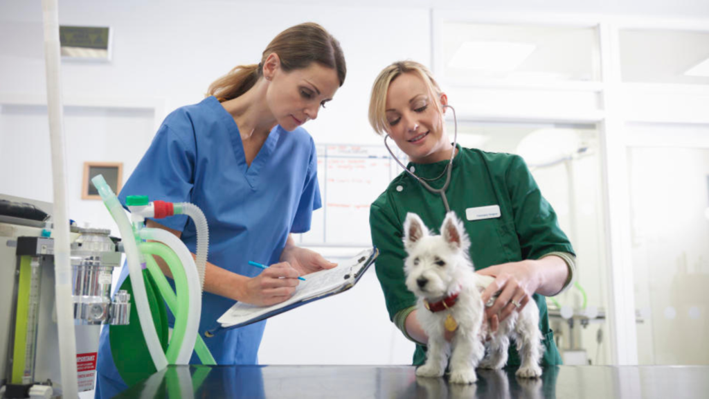 When is Vet Tech Week 2024: Planning Guide