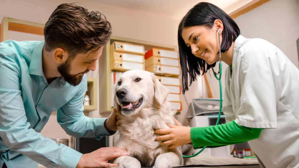 Meaningful Ways to Show Vet Tech Appreciation